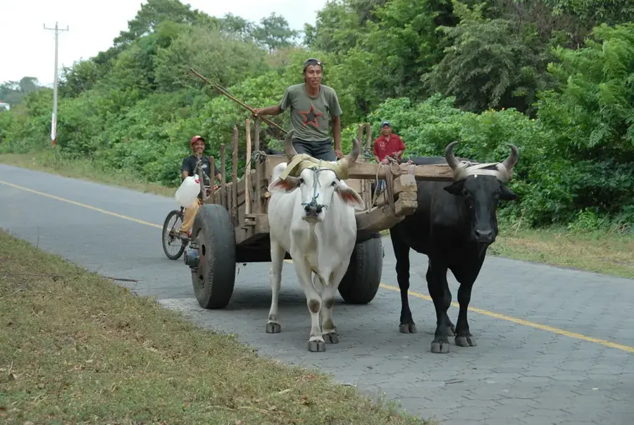 Grădina de fluturi Charco Verde — Rivas (Nicaragua)