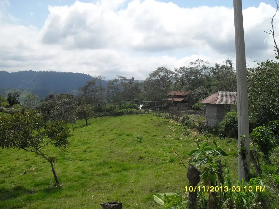Ferma de Fluturi Mindo — Saquisilí (Ecuador)