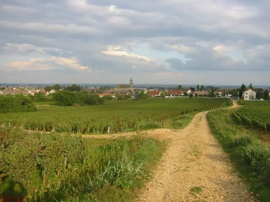 Marsannay-la-Côte – Stadt