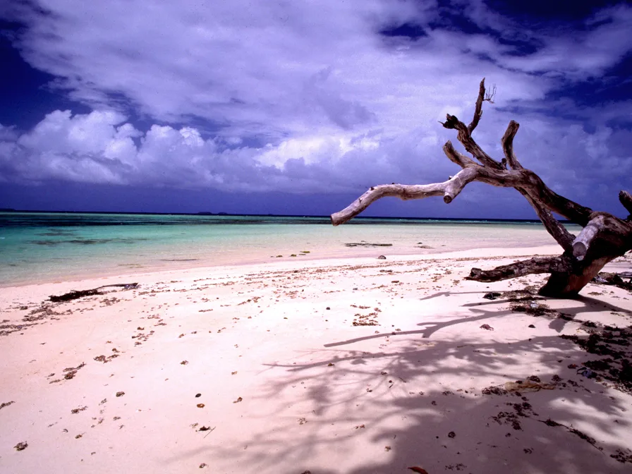Laura Beach — Runit Dome (Marshall Islands)