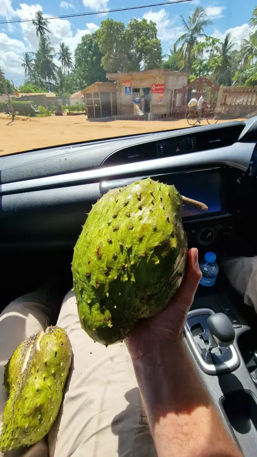 Massinga