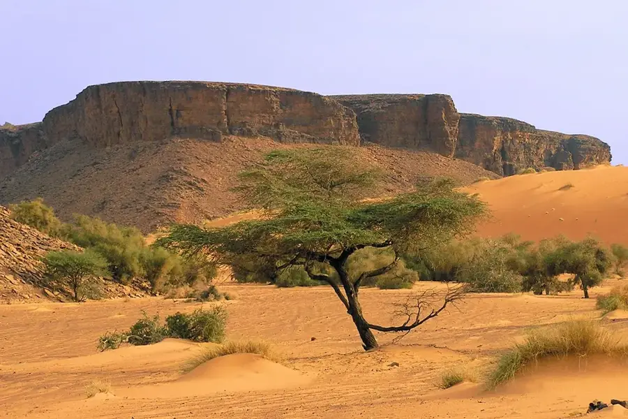 Adrar-Plateau