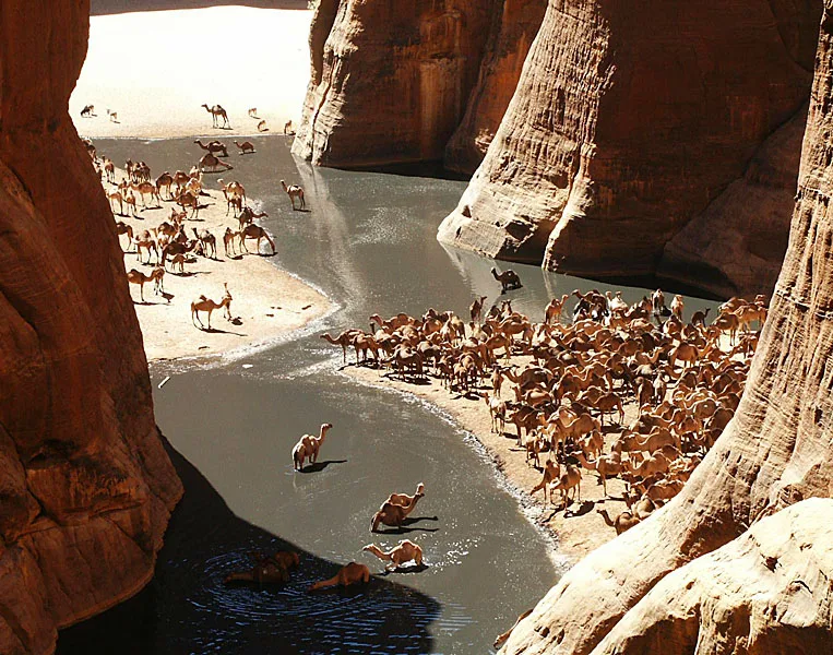 Guelta of Archei