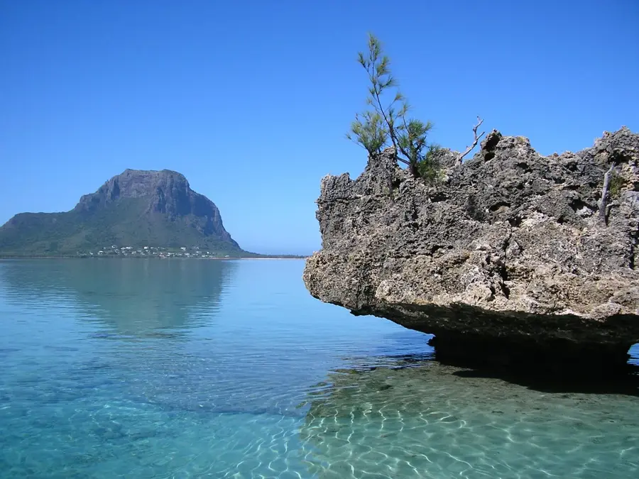 Case Noyale — Macchabée-erdő (Mauritius)