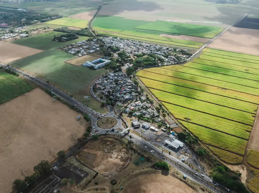Mapou