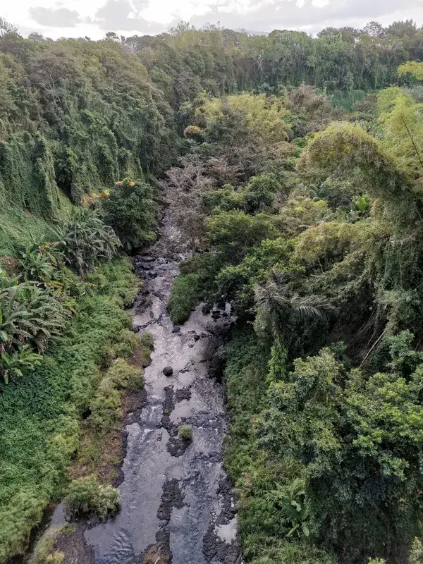 Rivière des Anguilles