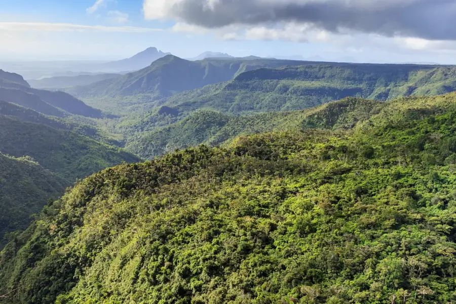 Riviere Noire — Macchabée-erdő (Mauritius)