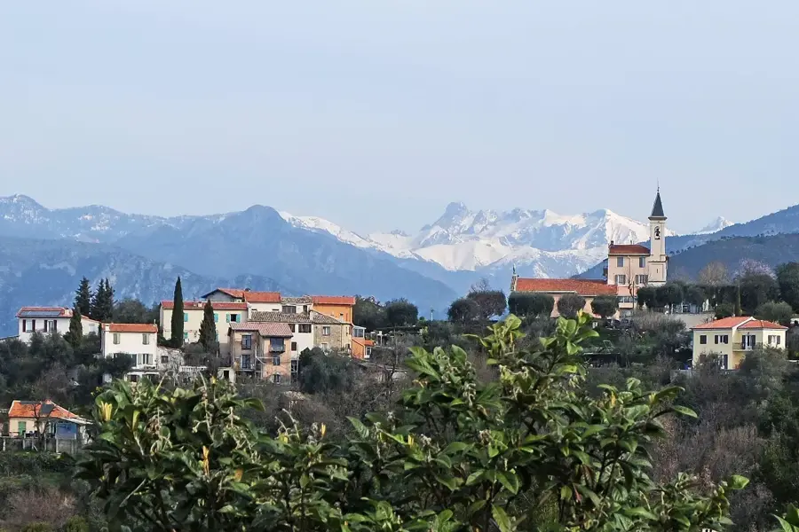 Weinberge von Bellet