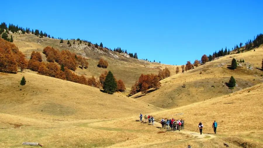Hajla — Gemeinde Klina (Serbien)