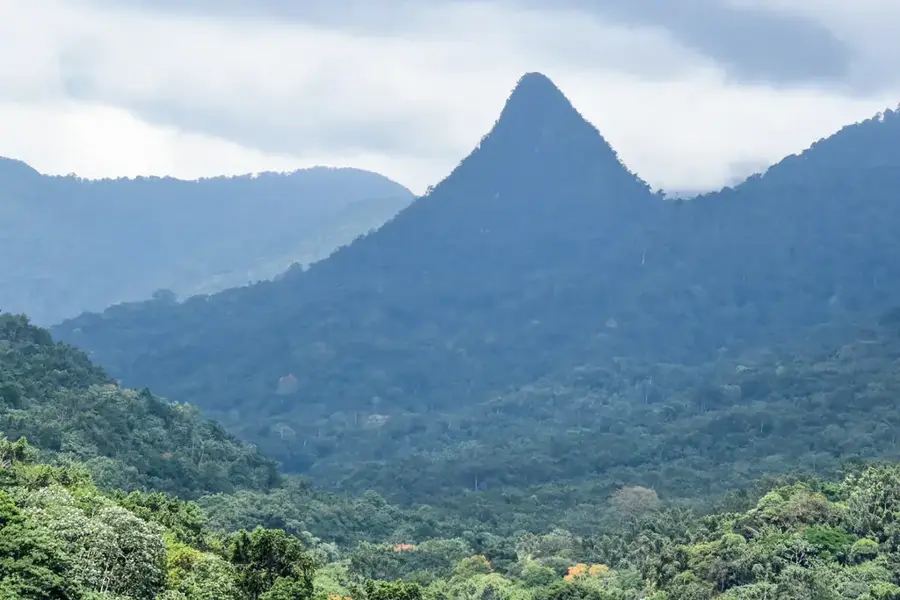 Mé-Zóchi Cloud Forest — Monte Café (São Tomé & Príncipe)
