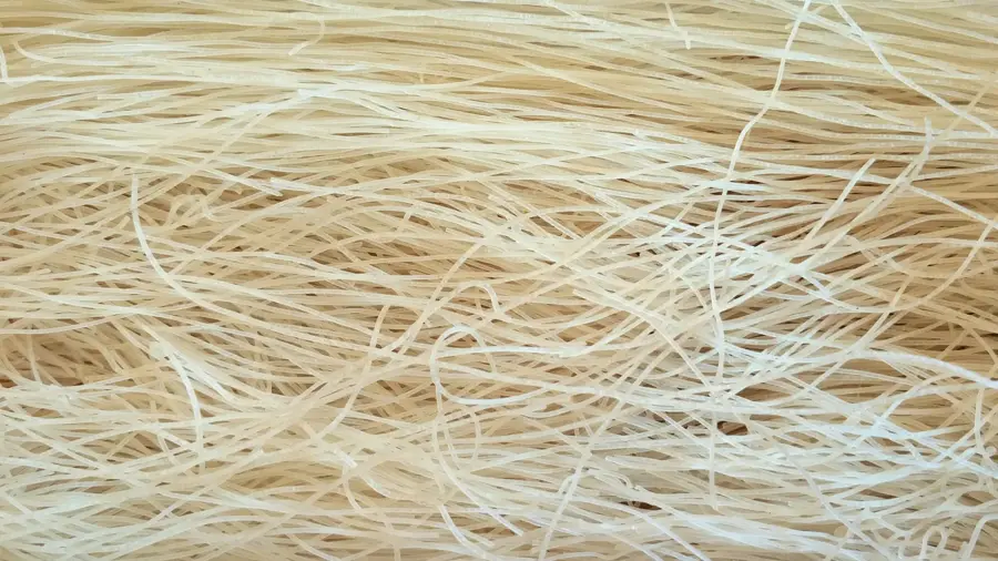 Reisschüssel des Mekong-Deltas — Sóc Trăng (Vietnam)