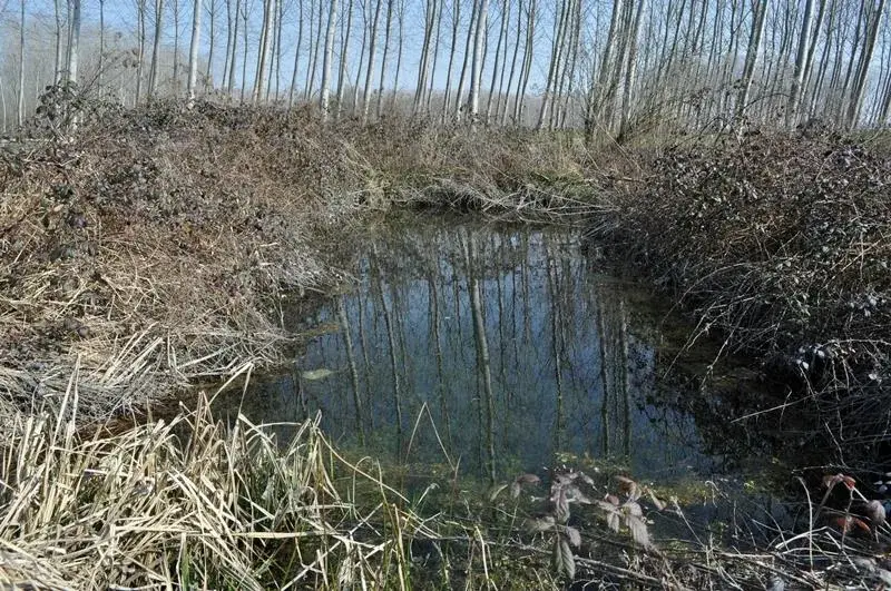 Zăcăminte de fier Melfi — Mongo (Ciad)
