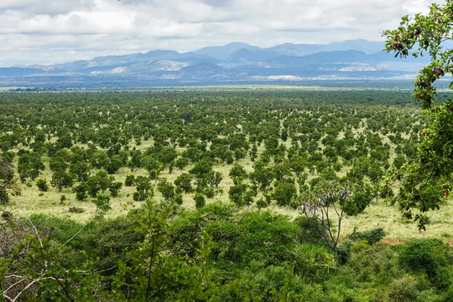Meru Nationalpark — Chuka (Kenia)