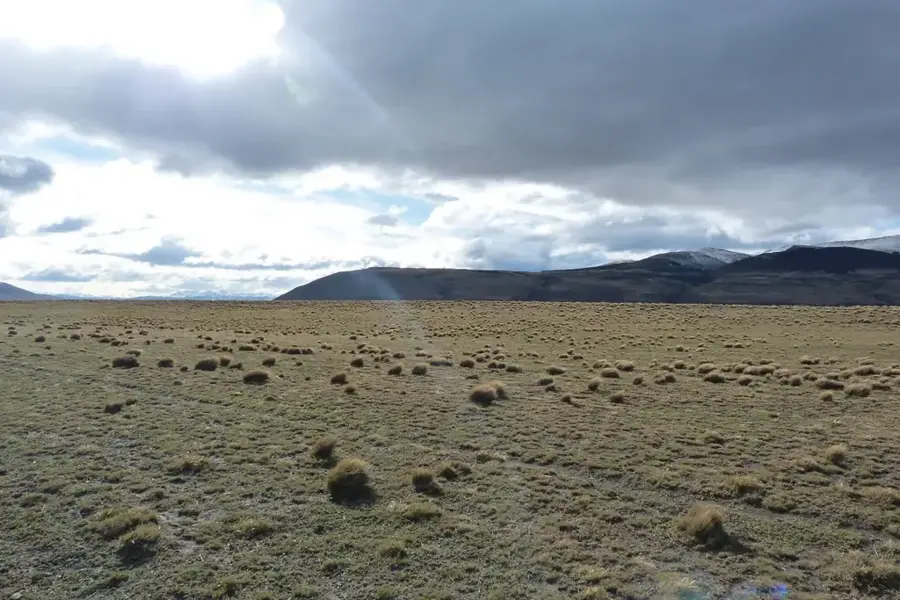 Patagóniai-fennsík — Valdés-félsziget (Argentína)