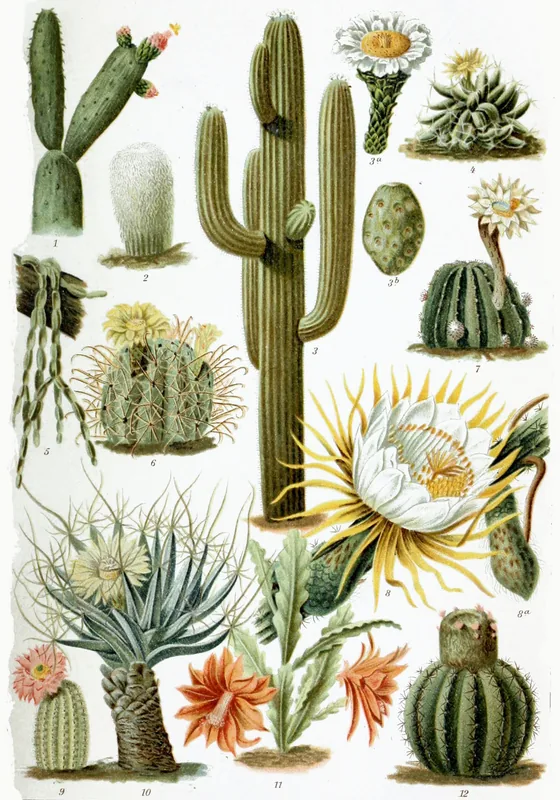 Stația de procesare a gazelor Cactus — Catedrala din Villahermosa (Mexic)