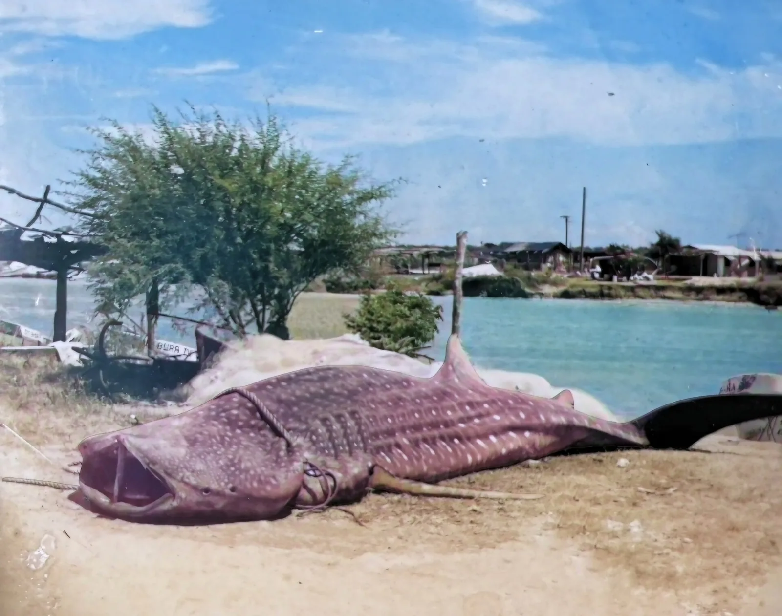 La Pesca