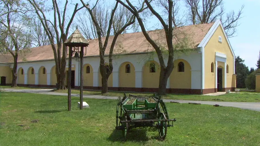 Mezőhegyes – Stadt
