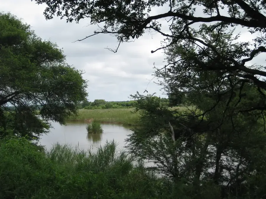 Mhlambanyatsi Forest — Usutu Forest (Eswatini)