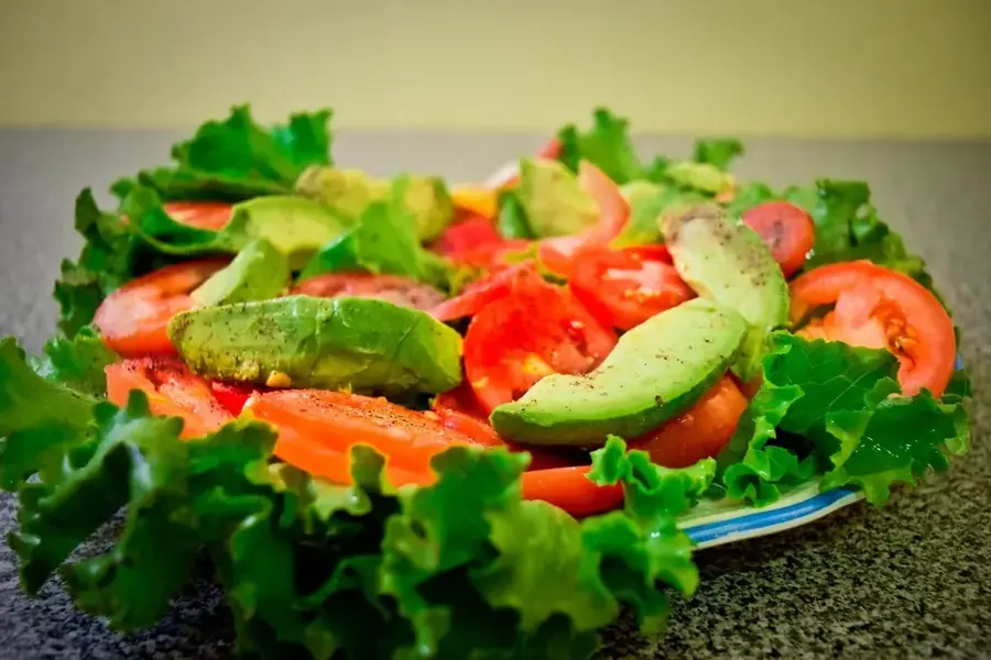 Avocadoplantagen in Michoacan — Ixtapa (Mexiko)