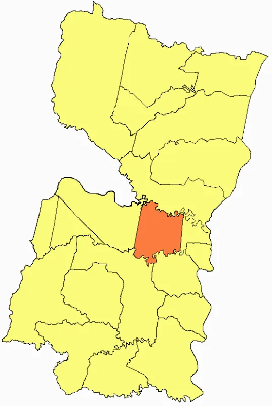 Minga Guazú