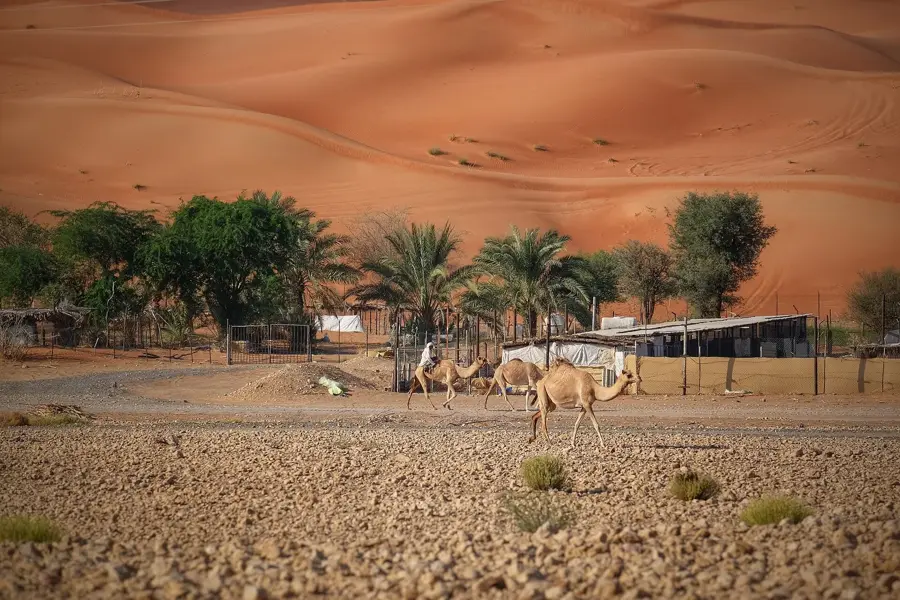Mleiha Desert — Dibba Al-Hisn (United Arab Emirates)