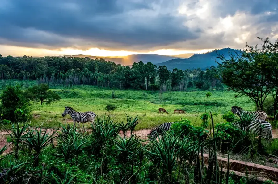Mlilwane Wildlife Sanctuary — Usutu Forest (Eswatini)