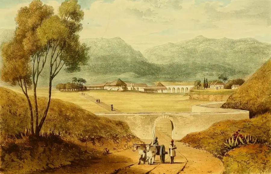 Munții Mocho — Munții Dry Harbour (Jamaica)