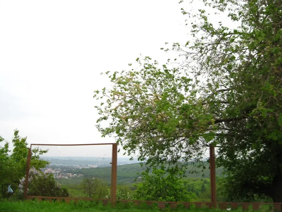 Bic River — Sîngera (Moldova)