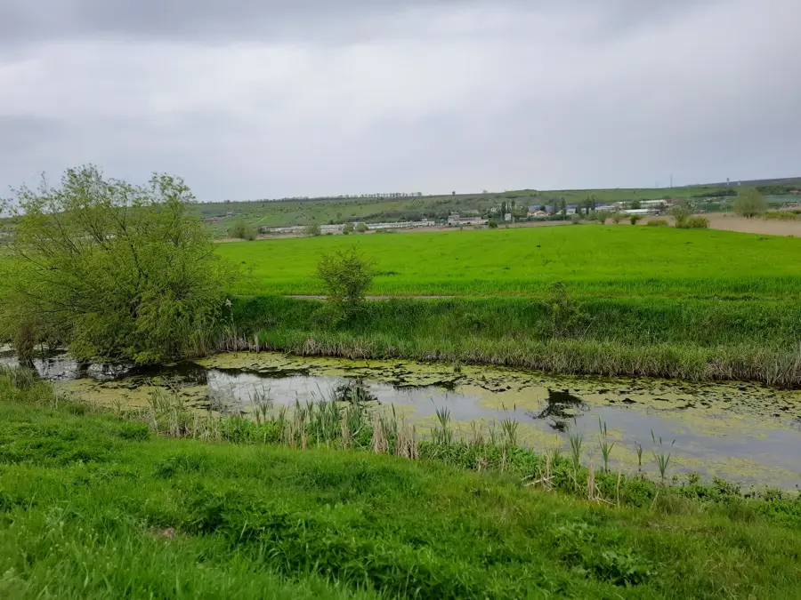 Botna Valley — Botna River (Moldova)