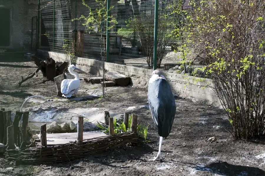 Chișinău Zoo — Botna River (Moldova)