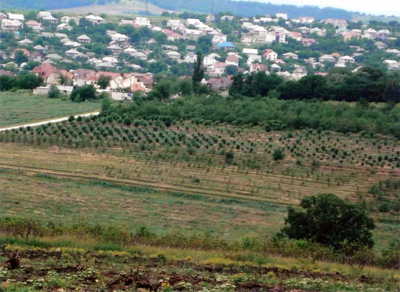 Codru — Maiac (Moldova)
