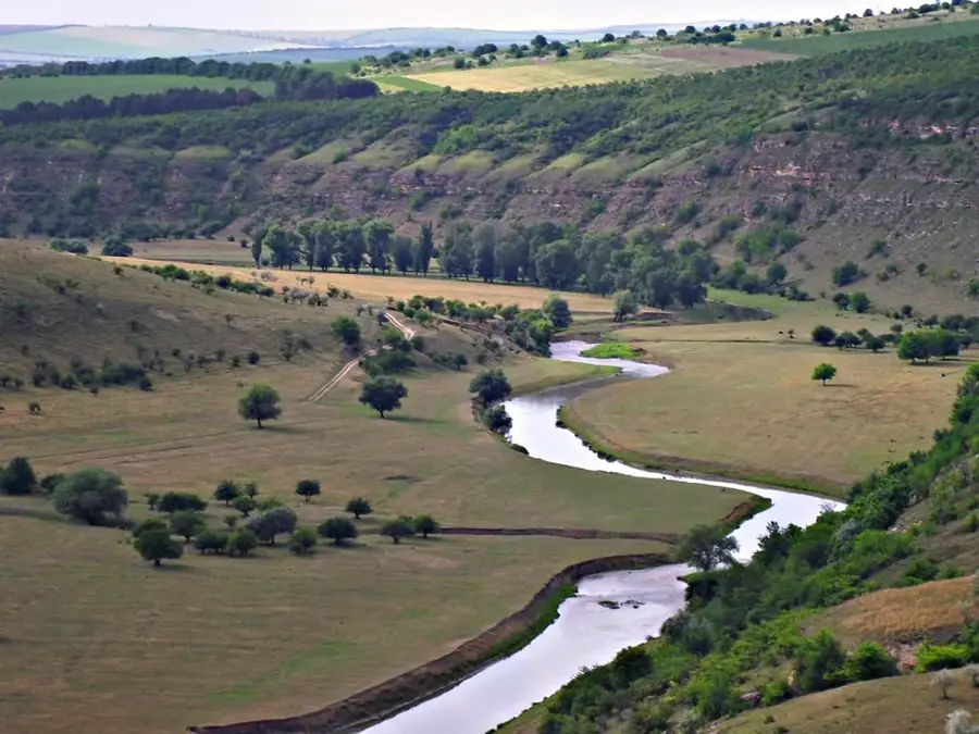 Cogâlnic Plain