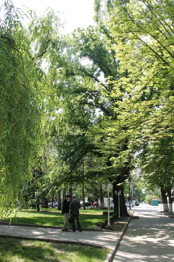 Nationaltheater für Oper und Ballett — Vatra (Moldau)