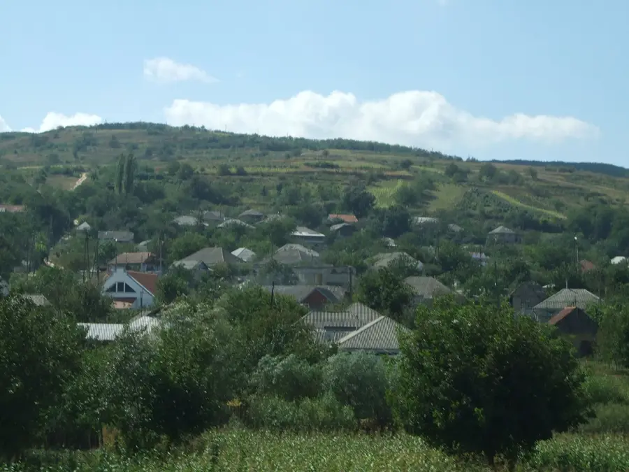 Ocnița Mansion — Frunză (Moldova)