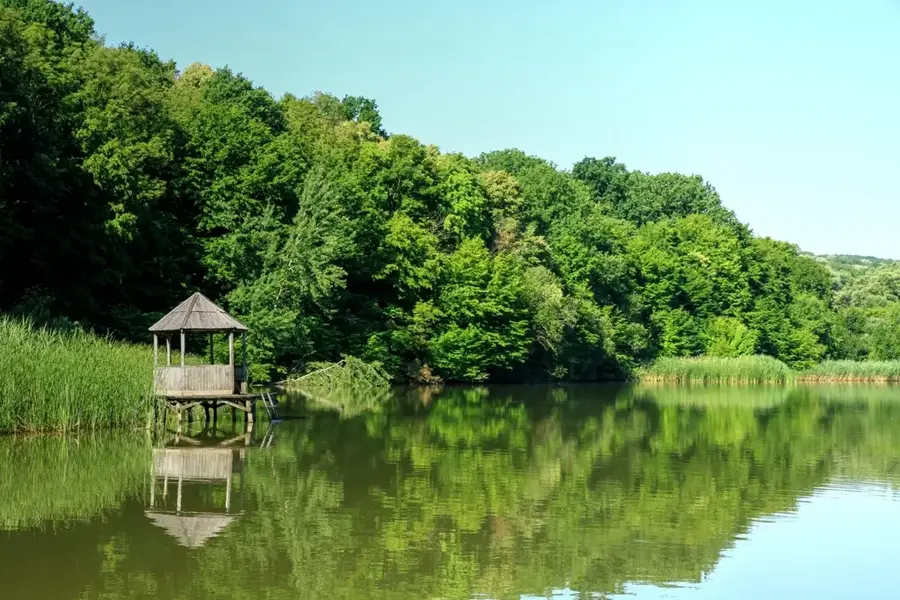 Buchenland Reservat — Cornești (Moldau)