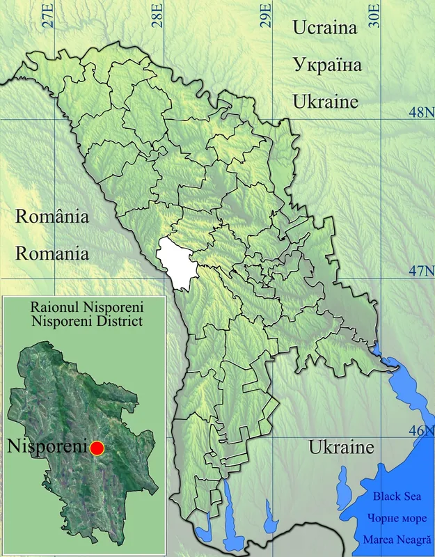 Nisporeni Plateau — Nisporeni (Moldova)