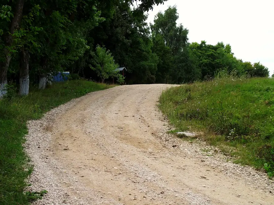 Rudi-Arionesti Reserve