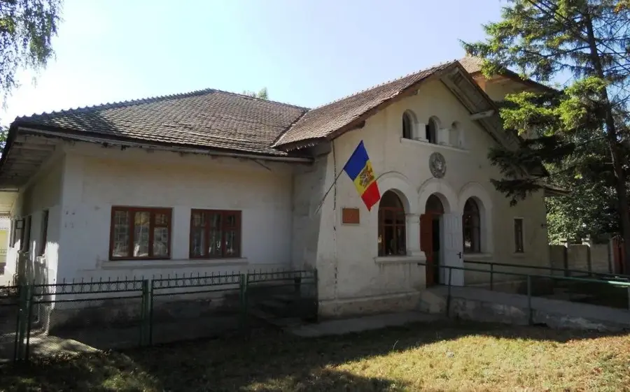 Sîngerei