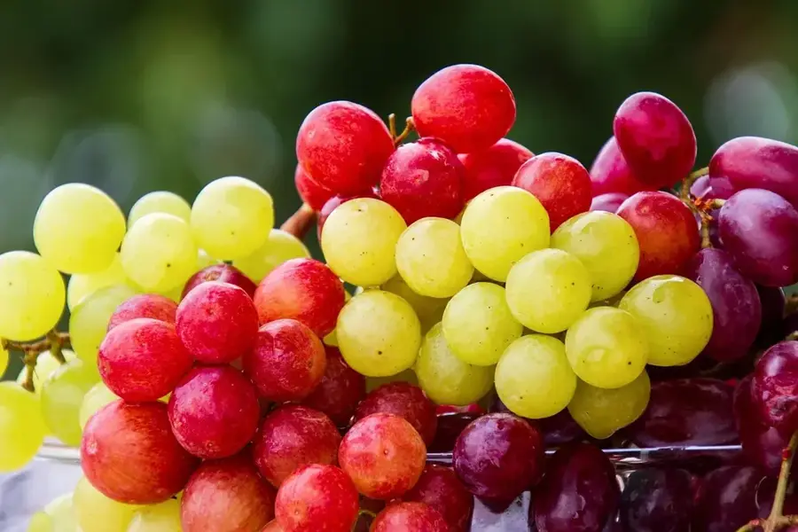 Soroca Obstverarbeitungskluster — Soroca (Moldau)