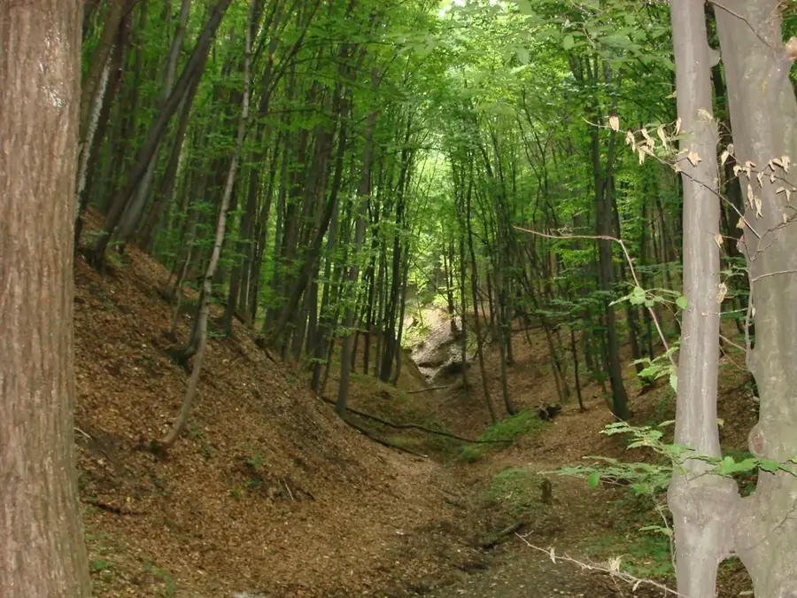 Trebujeni Landscape Reserve — Maiac (Moldova)