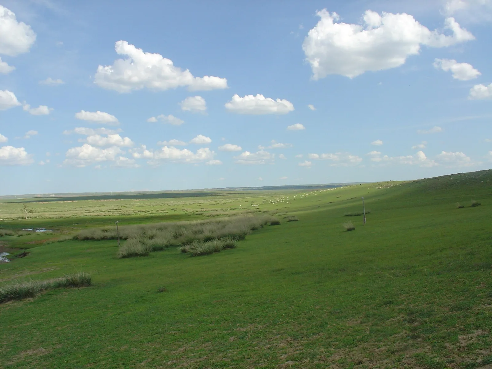 Ikh Gazriin Chuluu