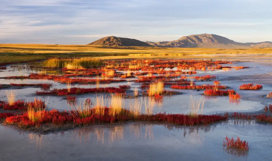 Uvs Lake