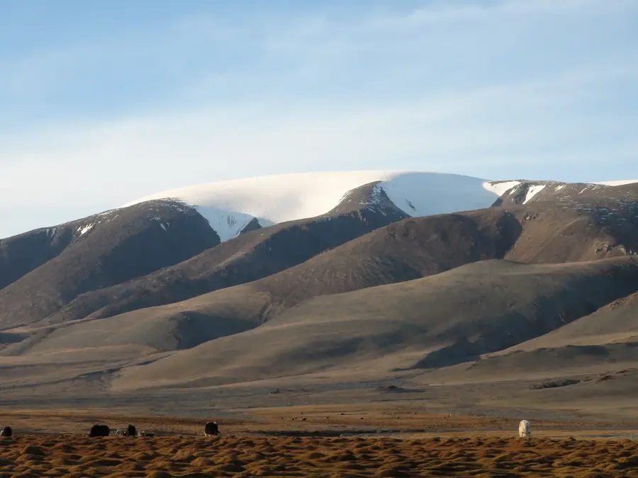 Mongolian Altai