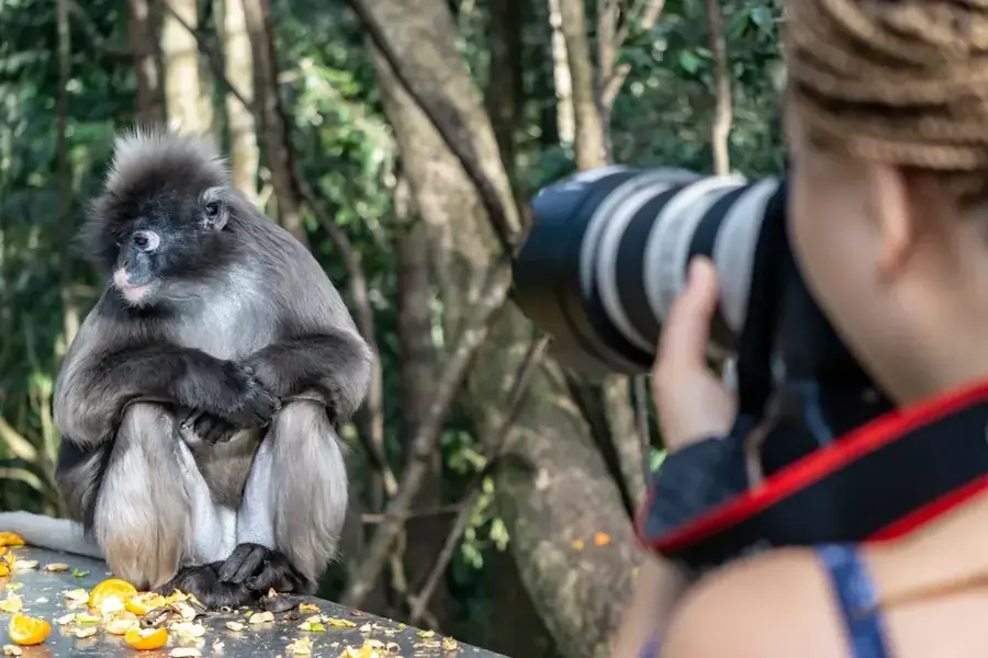 Monkeyland Majompark