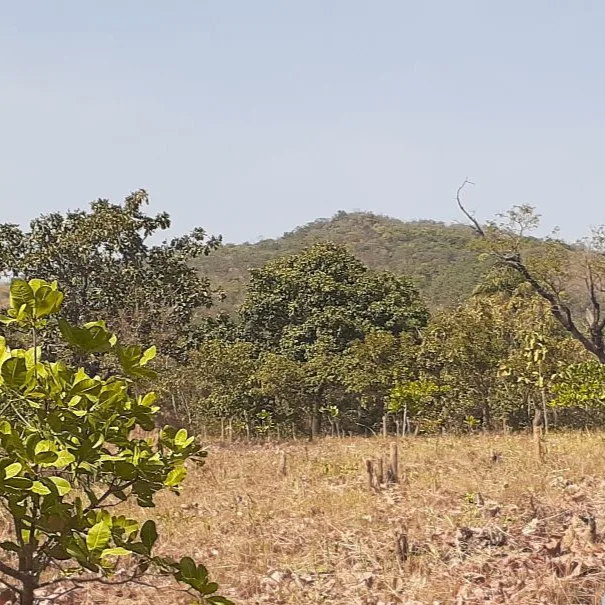 Mont Sokbaro