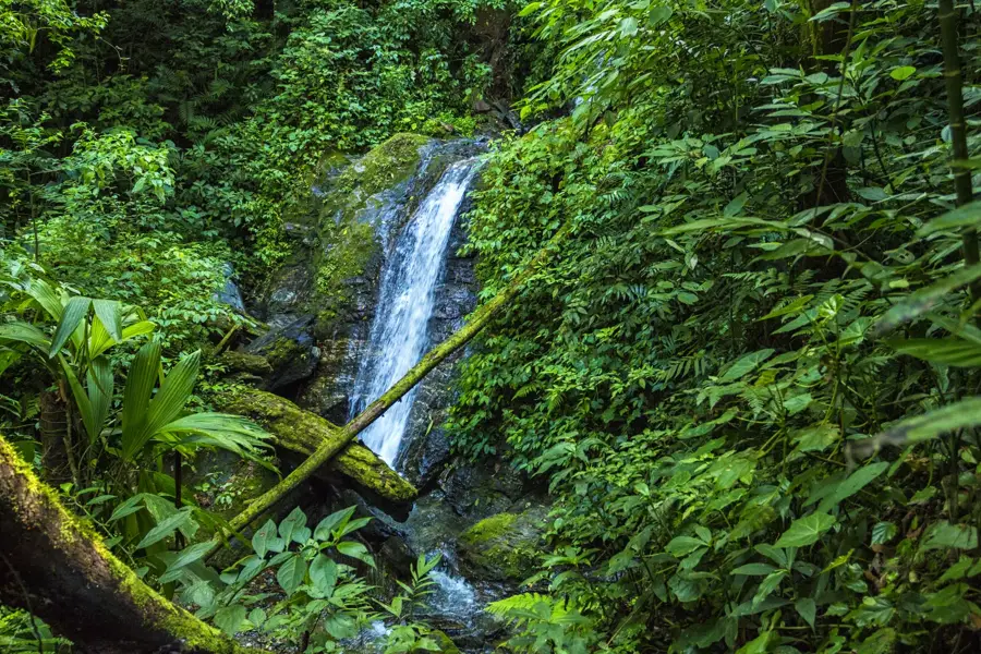 Montaña de Comayagua National Park — Pico Pijol (Honduras)