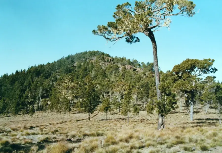 Monte Duarte