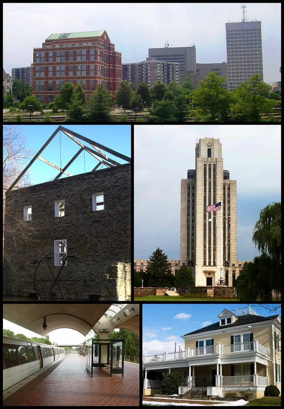 Moco