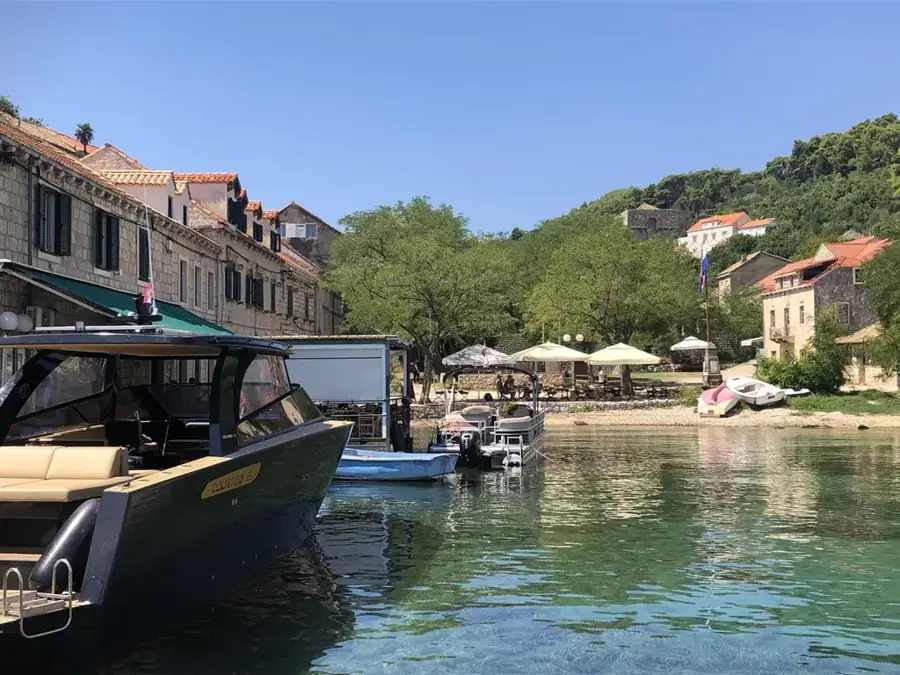 Velji Vrh — Flora podișului Krnovo (Muntenegru)