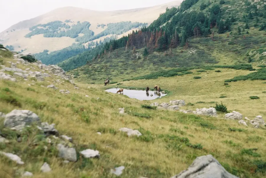 Vranjak-legelő — Biogradsko-tó (Montenegró)